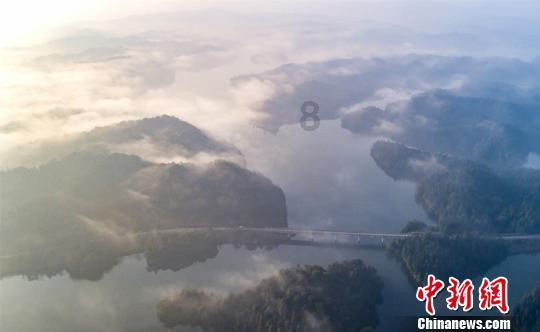 尺素金声丨出货量增长26.5%,国产手机频频“上新”靠什么?